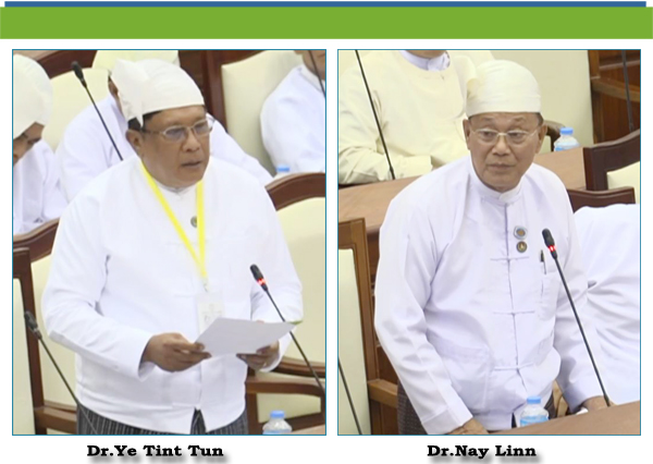 (င)- ဒေါက်တာနေလင်း(မှော်ဘီမဲဆန္ဒနယ်)-မေးခွန်း