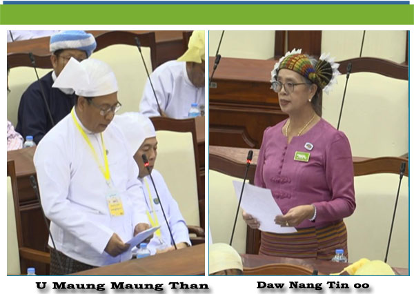 (က)- ဒေါ်နန်းတင်ဦး(ကျေးသီးမဲဆန္ဒနယ်)-မေးခွန်း