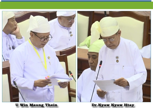 (င)- ဒေါက်တာကျော်ကျော်ဌေး(ထားဝယ်မဲဆန္ဒနယ်)
