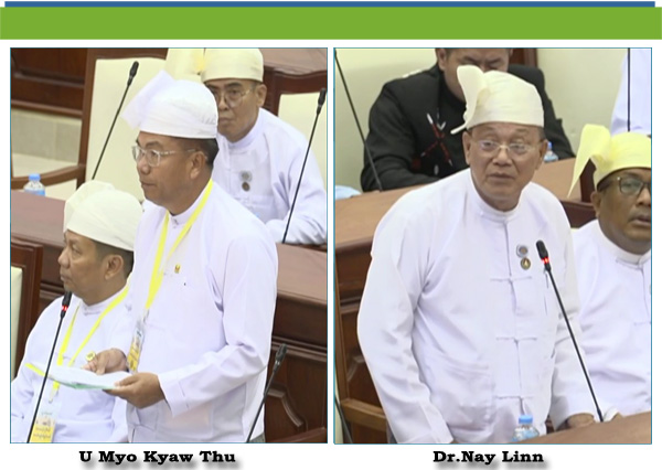 (ဂ)- ဒေါက်တာနေလင်း(မှော်ဘီမဲဆန္ဒနယ်)
