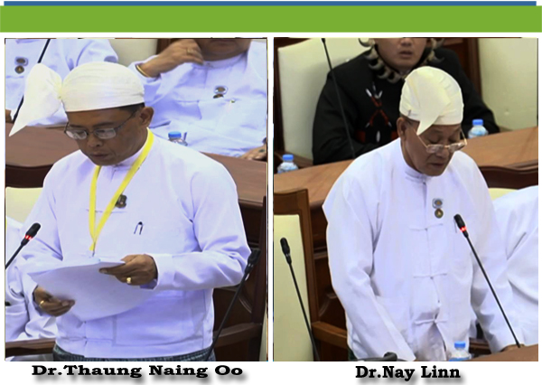 (ဆ)-ဒေါက်တာနေလင်း(မှော်ဘီမဲဆန္ဒနယ်)-မေးခွန်း